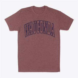 Wauconda Illinois Trendy Block Classic Dad T-Shirt