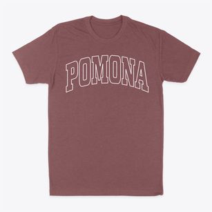 Pomona New York Trendy Block Classic Dad T-Shirt