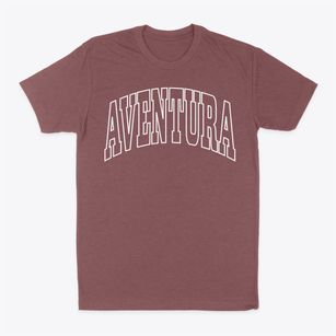 Aventura Florida Trendy Block Classic Dad T-Shirt
