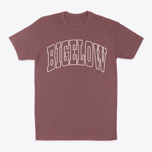 Bigelow Minnesota Trendy Block Classic Dad T-Shirt