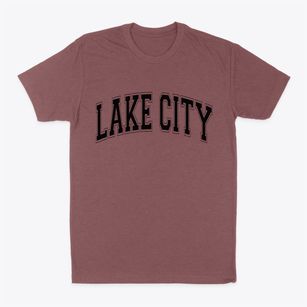 Lake City Pennsylvania Varsity Classic Dad T-Shirt