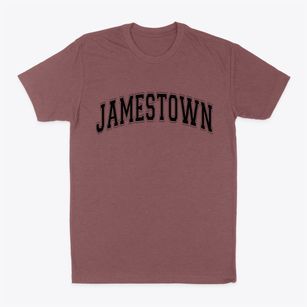 Jamestown New York Varsity Classic Dad T-Shirt