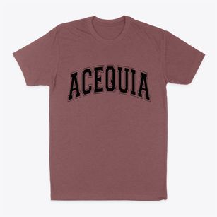 Acequia Idaho Varsity Classic Dad T-Shirt