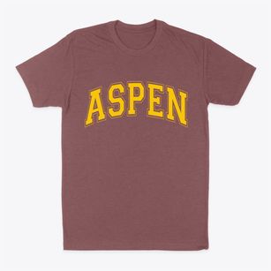 Aspen Colorado Varsity Classic Dad T-Shirt