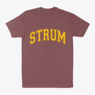 Strum Wisconsin Varsity Classic Dad T-Shirt