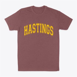 Hastings Michigan Varsity Classic Dad T-Shirt