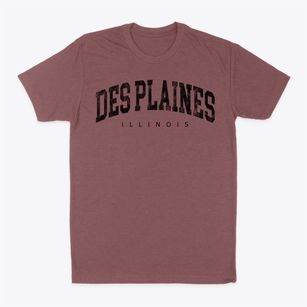 Des Plaines Illinois Urban Vibe Classic Dad T-Shirt
