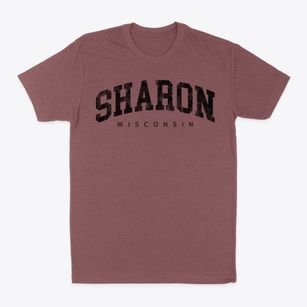 Sharon Wisconsin Urban Vibe Classic Dad T-Shirt