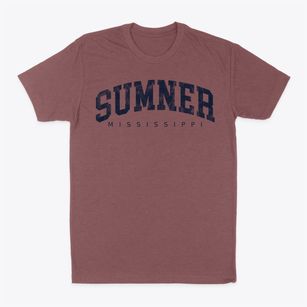 Sumner Mississippi Urban Vibe Classic Dad T-Shirt