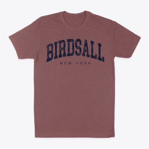 Birdsall New York Urban Vibe Classic Dad T-Shirt