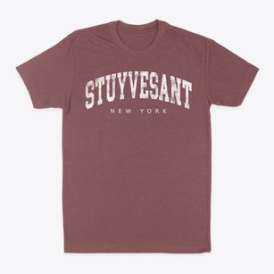 Stuyvesant New York Urban Vibe Classic Dad T-Shirt