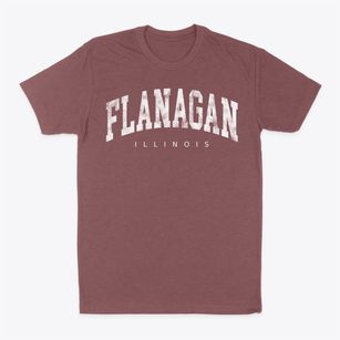 Flanagan Illinois Urban Vibe Classic Dad T-Shirt