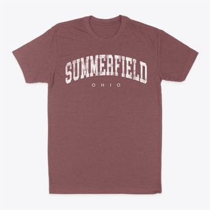Summerfield Ohio Urban Vibe Classic Dad T-Shirt