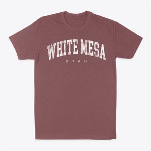 White Mesa Utah Urban Vibe Classic Dad T-Shirt