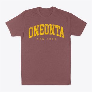 Oneonta New York Urban Vibe Classic Dad T-Shirt