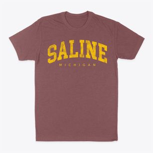 Saline Michigan Urban Vibe Classic Dad T-Shirt