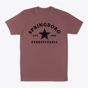 Springboro Pennsylvania Star Classic Dad T-Shirt
