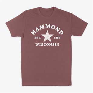 Hammond Wisconsin Star Classic Dad T-Shirt