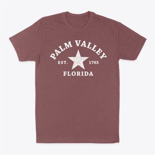 Palm Valley Florida Star Classic Dad T-Shirt
