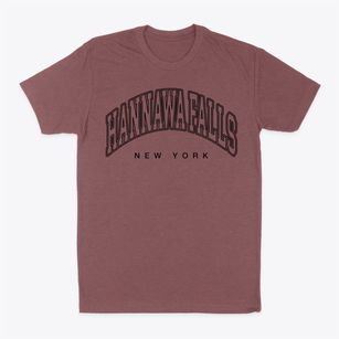 Hannawa Falls New York Inline Classic Dad T-Shirt