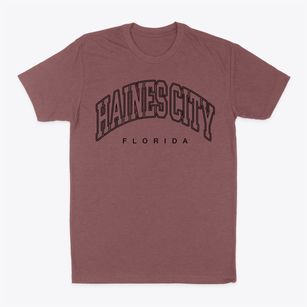 Haines City Florida Inline Classic Dad T-Shirt