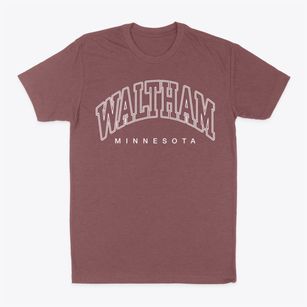 Waltham Minnesota Inline Classic Dad T-Shirt