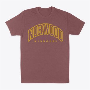 Norwood Missouri Inline Classic Dad T-Shirt