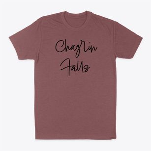 Chagrin Falls Ohio Freestyle Classic Dad T-Shirt