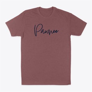 Pawnee Missouri Freestyle Classic Dad T-Shirt