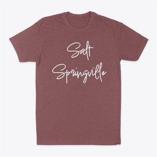 Salt Springville New York Freestyle Classic Dad T-Shirt