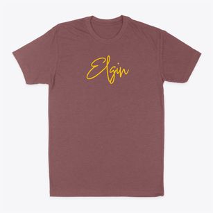 Elgin Pennsylvania Freestyle Classic Dad T-Shirt