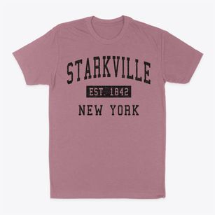 Starkville New York Classic Established Classic Dad T-Shirt