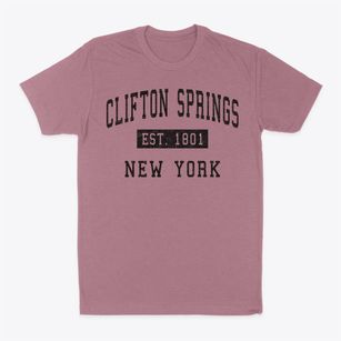 Clifton Springs New York Classic Established Classic Dad T-Shirt