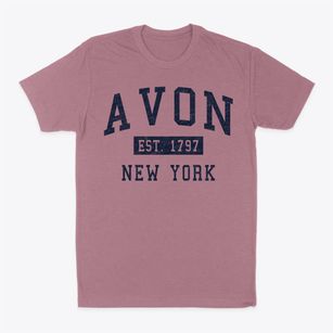 Avon New York Classic Established Classic Dad T-Shirt