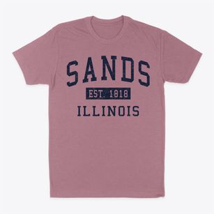 Sands Illinois Classic Established Classic Dad T-Shirt