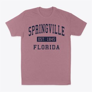 Springville Florida Classic Established Classic Dad T-Shirt