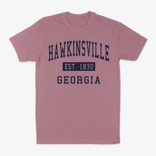 Hawkinsville Georgia Classic Established Classic Dad T-Shirt