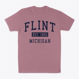 Flint Michigan Classic Established Classic Dad T-Shirt