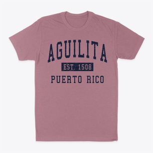 Aguilita Puerto Rico Classic Established Classic Dad T-Shirt
