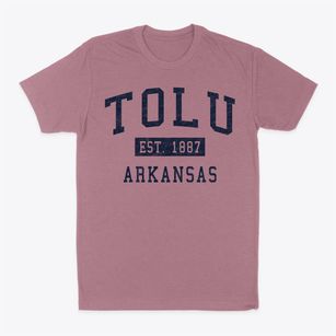Tolu Arkansas Classic Established Classic Dad T-Shirt