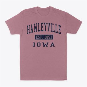 Hawleyville Iowa Classic Established Classic Dad T-Shirt