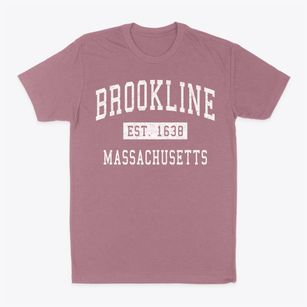 Brookline Massachusetts Classic Established Classic Dad T-Shirt