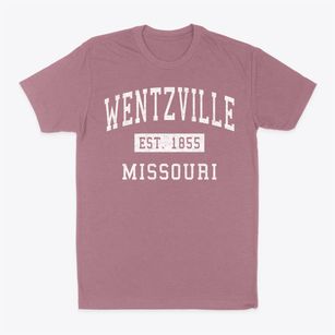 Wentzville Missouri Classic Established Classic Dad T-Shirt