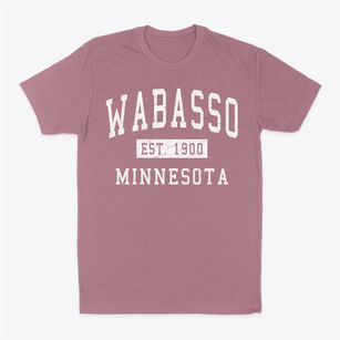 Wabasso Minnesota Classic Established Classic Dad T-Shirt