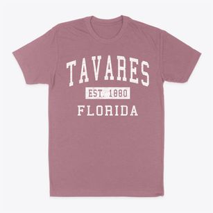 Tavares Florida Classic Established Classic Dad T-Shirt