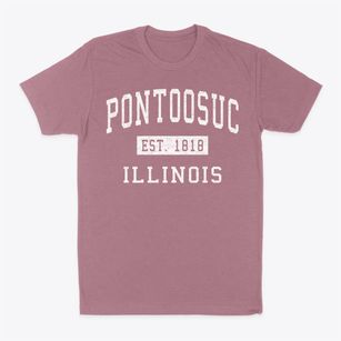 Pontoosuc Illinois Classic Established Classic Dad T-Shirt