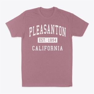Pleasanton California Classic Established Classic Dad T-Shirt