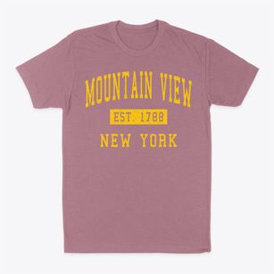 Mountain View New York Classic Established Classic Dad T-Shirt