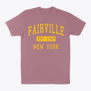 Fairville New York Classic Established Classic Dad T-Shirt