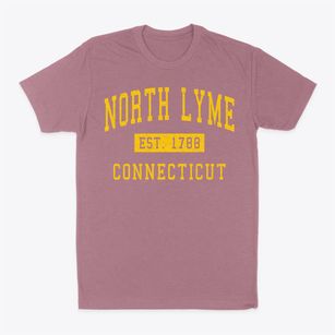 North Lyme Connecticut Classic Established Classic Dad T-Shirt